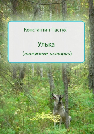 Константин Пастух. Улька