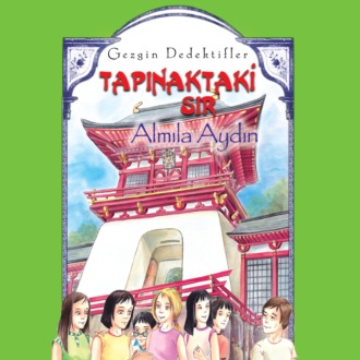 AYDIN ALMILA. GEZGIN DEDEKTIFLER – TAPINAKTAKI SIR