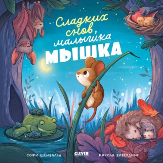 Софи Шёнвальд. Сладких снов, малышка мышка!