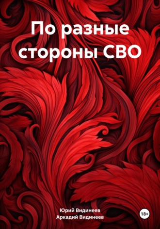 Юрий Видинеев. По разные стороны СВО