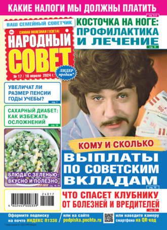 . Народный совет №17/2024