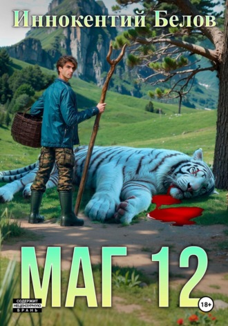. Маг 12