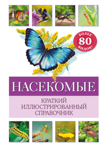 Бэрбель Офтринг. Насекомые. Краткий иллюстрированный справочник
