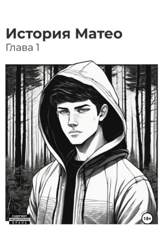 Арсения Сафонова. История Матео. Глава 1