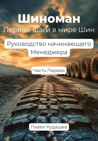 Павел Кудашев. Шиноман. Первые шаги в мире ШИН. Руководство начинающего менеджера. Часть 1