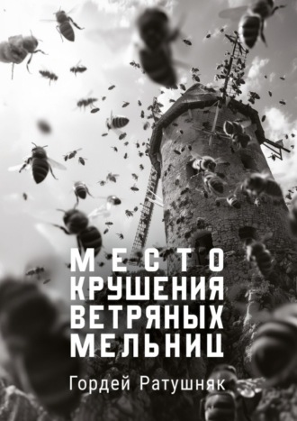 Гордей Ратушняк. Место крушения ветряных мельниц