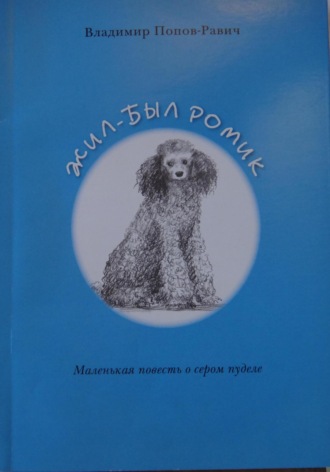 Владимир Сергеевич Попов-Равич. Жил-был Ромик