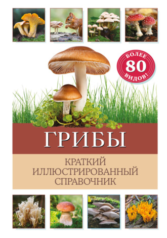 Бэрбель Офтринг. Грибы. Краткий иллюстрированный справочник