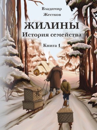 Владимир Жестков. Жилины. История семейства. Книга 1