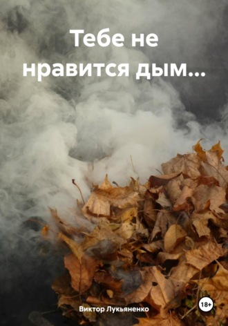 . Тебе не нравится дым…