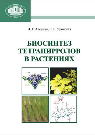 . Биосинтез тетрапирролов в растениях