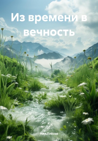 Нил Плёсов. Из времени в вечность