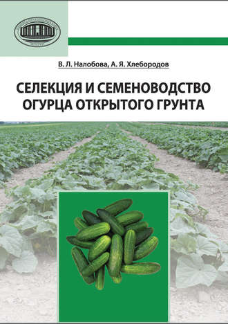 . Селекция и семеноводство огурца открытого грунта
