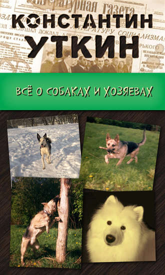 . Кинология. Всё о собаках и хозяевах
