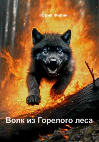 Юрий Филин. Волк из Горелого леса
