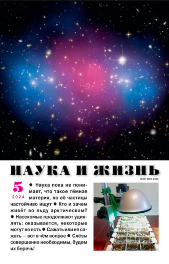 . Наука и жизнь №05/2024