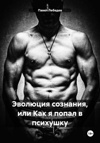 Павел Викторович Лебедев. Эволюция сознания, или Как я попал в психушку