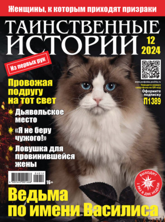 . Таинственные истории №12/2024