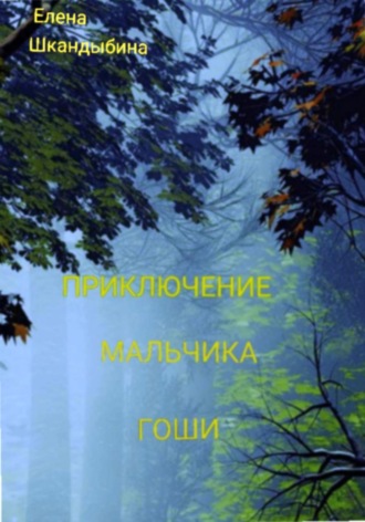 Елена Шкандыбина. Приключение мальчика Гоши