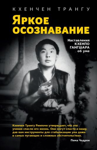 . Яркое осознавание. Наставления Кхенпо Гангшара об уме