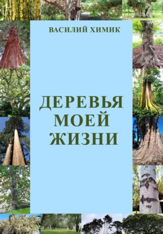 . Деревья моей жизни