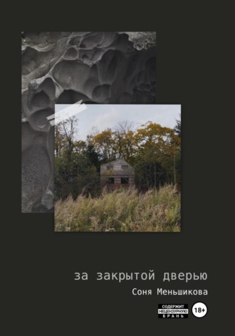 . За закрытой дверью