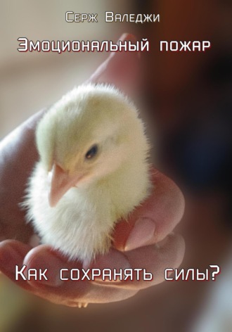 Серж Валеджи. Эмоциональный пожар. Как сохранять силы?