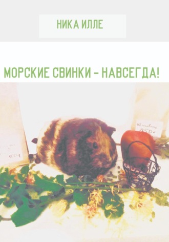 Ника Илле. Морские свинки – навсегда!