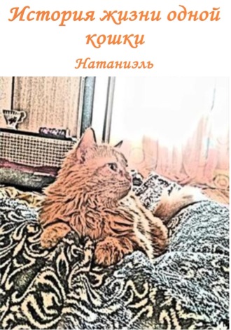. История жизни одной кошки
