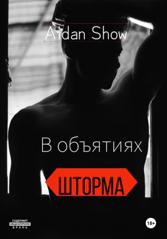 Aidan Show. В объятиях Шторма