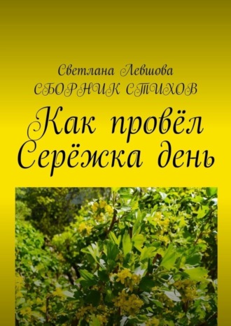 . Как провёл Серёжка день