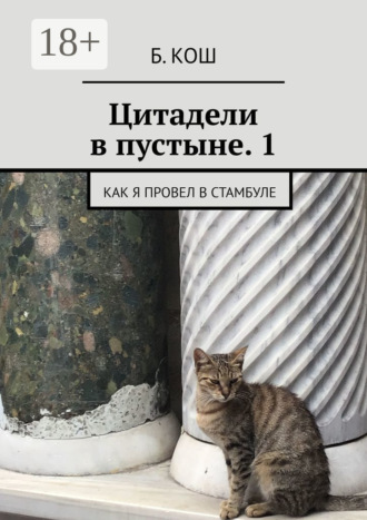 Б. Кош. Цитадели в пустыне. 1. Как я провел в Стамбуле