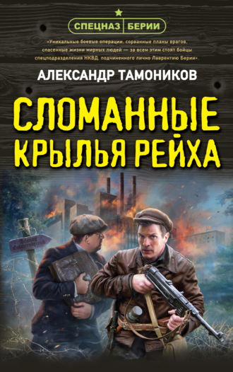 . Сломанные крылья рейха