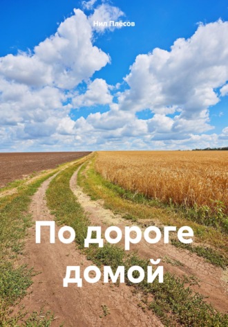. По дороге домой