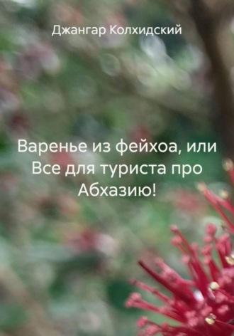 . Варенье из фейхоа, или Все для туриста про Абхазию!