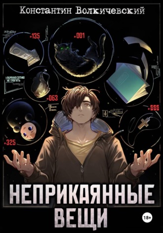 Константин Волкичевский. Неприкаянные вещи