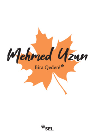Mehmed Uzun. Bîra Qederê