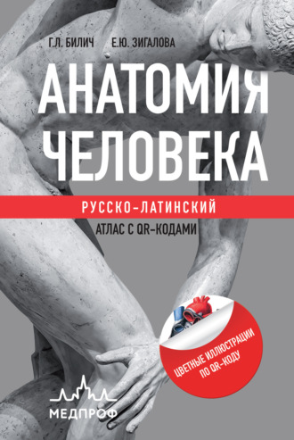 . Анатомия человека. Русско-латинский атлас с QR-кодами