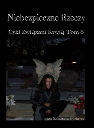 Amy Blankenship. Niebezpieczne Rzeczy (Związani Krwią Tom 3)