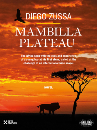 . Mambilla Plateau