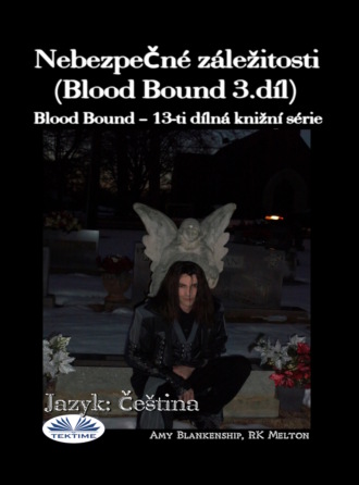 . Nebezpečné záležitosti (Blood Bound 3.díl)