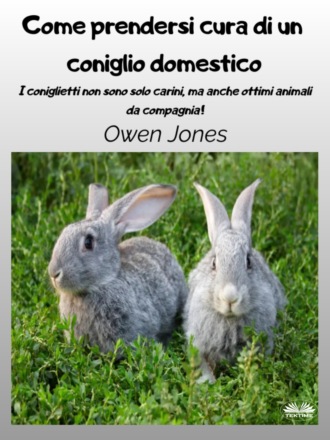 Оуэн Джонс. Come Prendersi Cura Di Un Coniglio Domestico