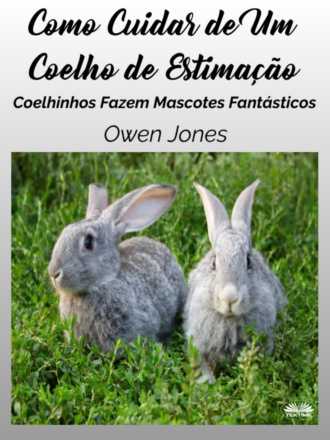 . Como Cuidar de Um Coelho de Estimação