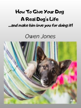 . How To Give Your Dog A Real Dog`s Life