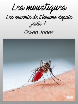 . Les Moustiques
