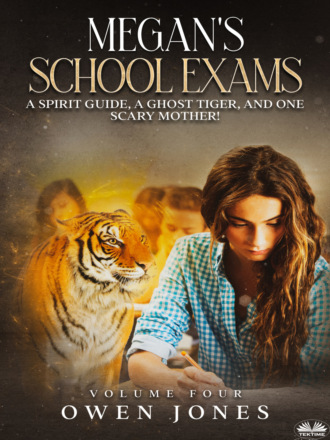 Оуэн Джонс. Megan`s School Exams