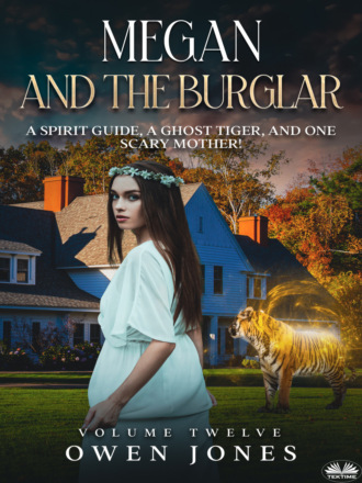 Оуэн Джонс. Megan And The Burglar