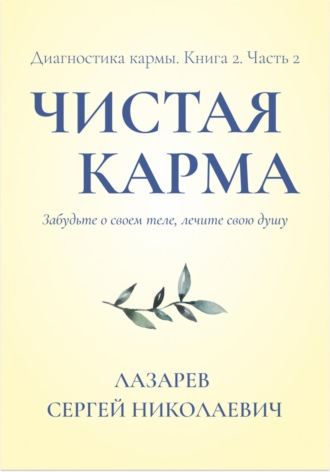 . Диагностика кармы. Чистая карма. Часть 2