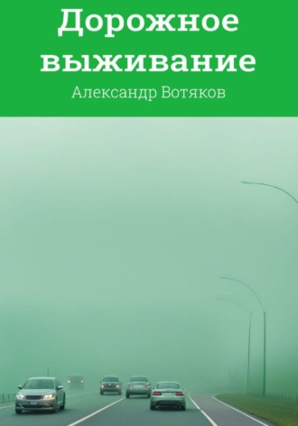 . Дорожное выживание