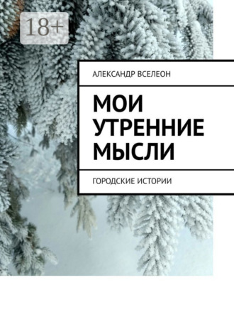 Александр Вселеон. Мои утренние мысли. Городские истории